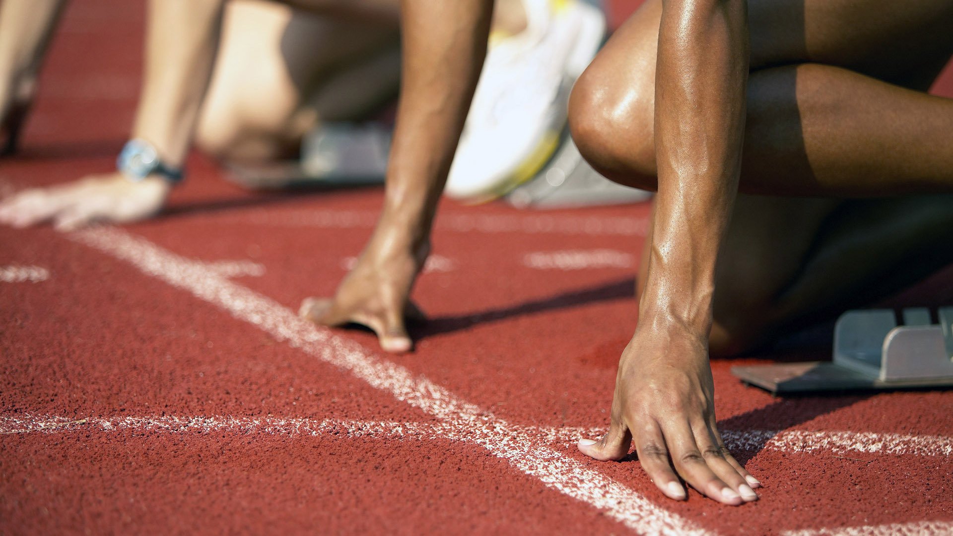 极端环境之战:高海拔、荒漠、冰雪的多重考验,极端环境生物